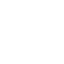 Custom Web Applications